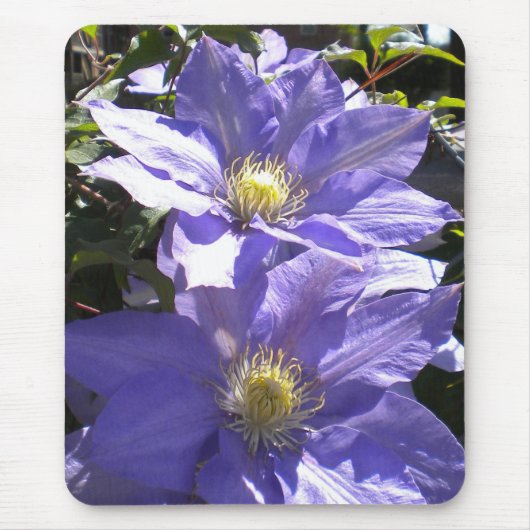 Periwinkle Clematis Mousepad Muismat (Voorkant)