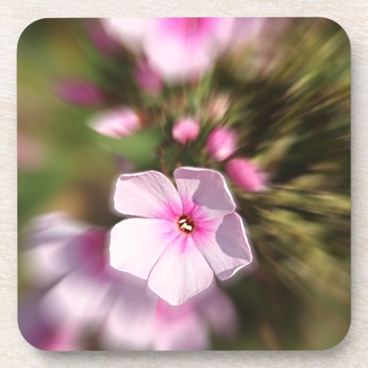 Periwinkle Drankjes Onderzetter (Voorkant)