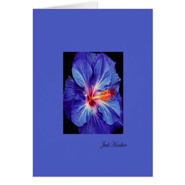 Periwinkle~Een van de meest versleten kleuren (Voorkant)