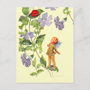 Periwinkle Elf en Ladybug Briefkaart