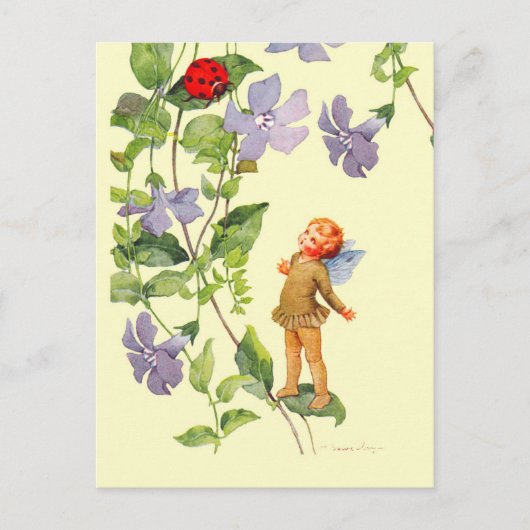 Periwinkle Elf en Ladybug Briefkaart (Voorkant)