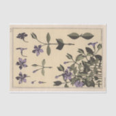 Periwinkle, Eugene Grasset's Botany Series Tissuepapier (Voorkant)