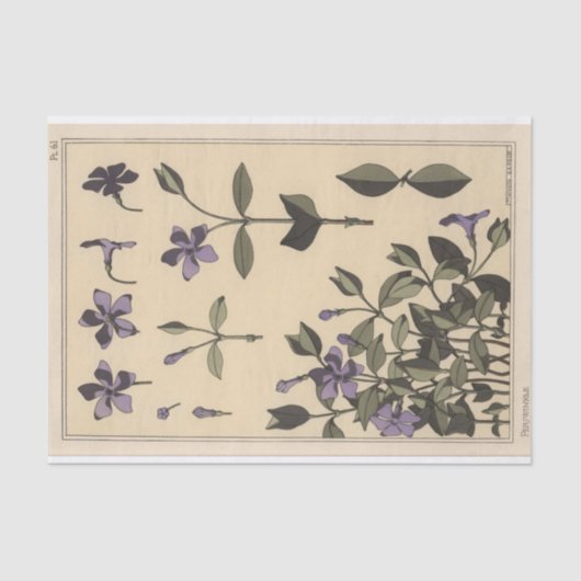 Periwinkle, Eugene Grasset's Botany Series Tissuepapier (Voorkant)