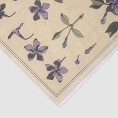Periwinkle, Eugene Grasset's Botany Series Tissuepapier (Detail)