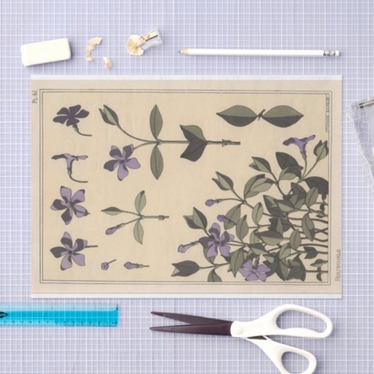 Periwinkle, Eugene Grasset's Botany Series Tissuepapier (Craft)