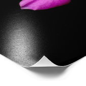 'Periwinkle Flowers after Rainfall' Foto Afdruk (Hoek)