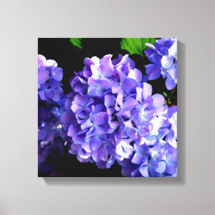 Periwinkle hydrangeas paardenbloemen blauwe bloeme canvas afdruk