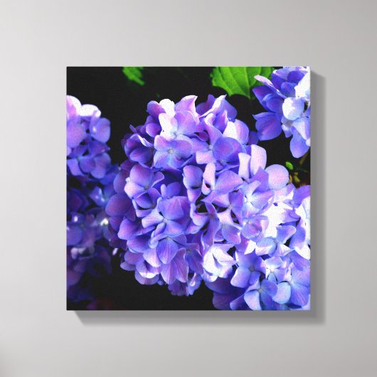 Periwinkle hydrangeas paardenbloemen blauwe bloeme canvas afdruk (Voorkant)