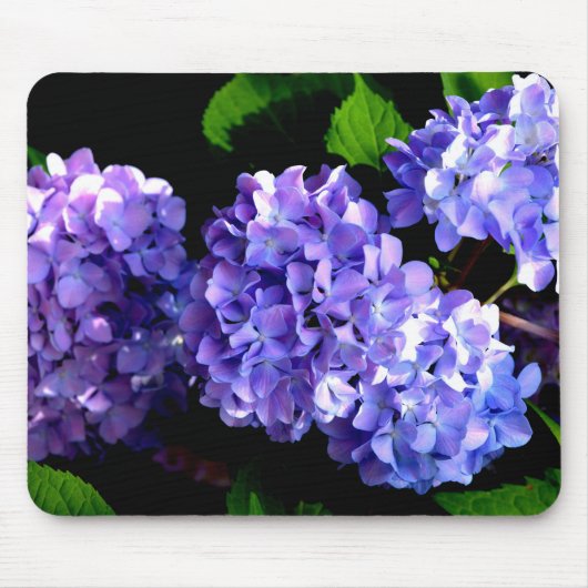 Periwinkle hydrangeas paardenbloemen blauwe bloeme muismat (Voorkant)