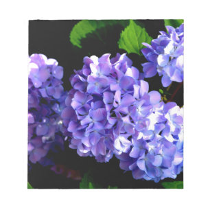 Periwinkle hydrangeas paardenbloemen blauwe bloeme notitieblok