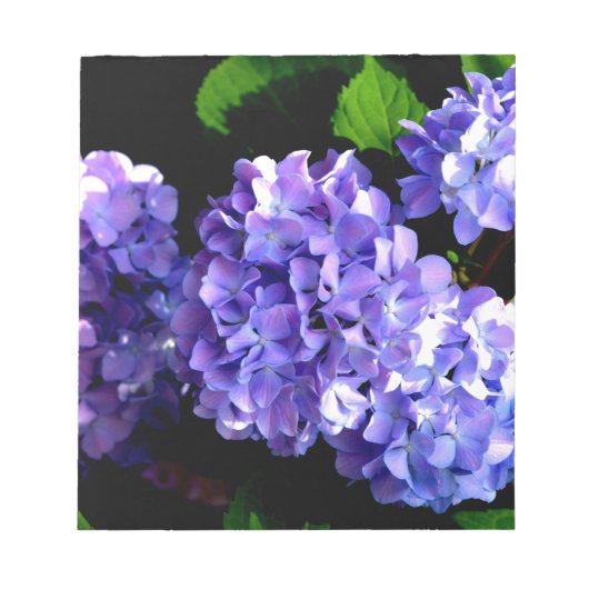 Periwinkle hydrangeas paardenbloemen blauwe bloeme notitieblok (Voorkant)