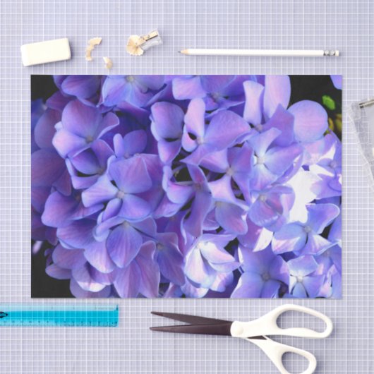 Periwinkle hydrangeas paardenbloemen blauwe bloeme tissuepapier (Craft)
