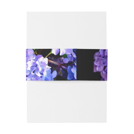 Periwinkle hydrangeas paardenbloemen blauwe bloeme uitnodigingen wikkel (Achterkant Voorbeeld)