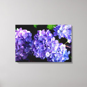 Periwinkle hydrangeas paarse blauwe bloem canvas afdruk