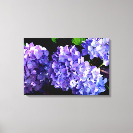Periwinkle hydrangeas paarse blauwe bloem canvas afdruk (Voorkant)