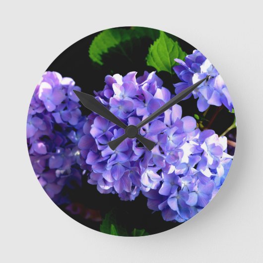 Periwinkle hydrangeas paarse blauwe bloem ronde klok (Voorkant)