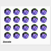 Periwinkle hydrangeas paarse blauwe bloem ronde sticker (Vel)