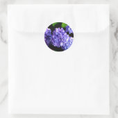 Periwinkle hydrangeas paarse blauwe bloem ronde sticker (Tas)