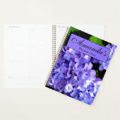 Periwinkle hydrangeas paarse blauwe bloem voor haa planner (Display)