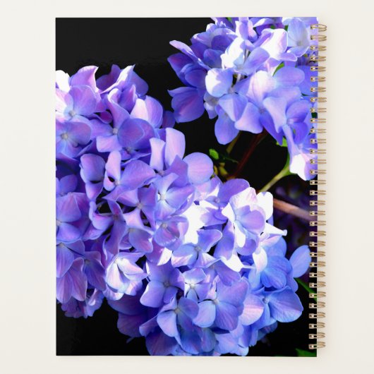 Periwinkle hydrangeas paarse blauwe bloem voor haa planner (Achterkant)