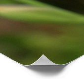 Periwinkle Iris met Raindrops Garden Poster (Hoek)