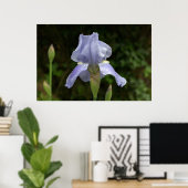 Periwinkle Iris met Raindrops Garden Poster (Thuiskantoor)