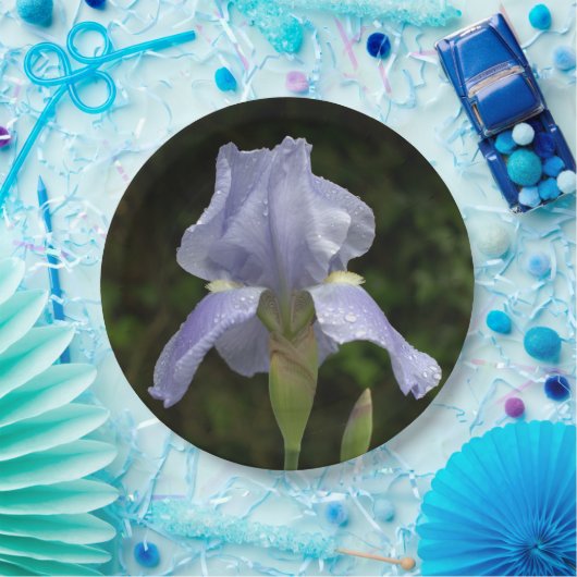 Periwinkle Iris Petals Regendruppels Papieren Bordje (Feest)