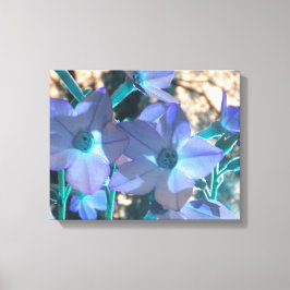 Periwinkle N Blauwgroen Nicotiana Wrapped Canvas Afdruk