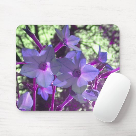 Periwinkle Nicotiana mousepad Muismat (Met muis)