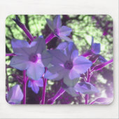 Periwinkle Nicotiana mousepad Muismat (Voorkant)