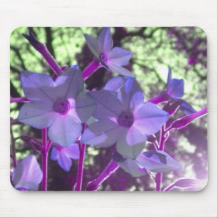 Periwinkle Nicotiana mousepad Muismat