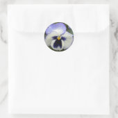 Periwinkle Pansy Stickers (Tas)