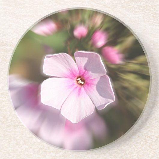 Periwinkle Zandsteen Onderzetter (Voorkant)