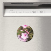 Periwinkle Zoom Magneet (Insitu (Vaatwasser))