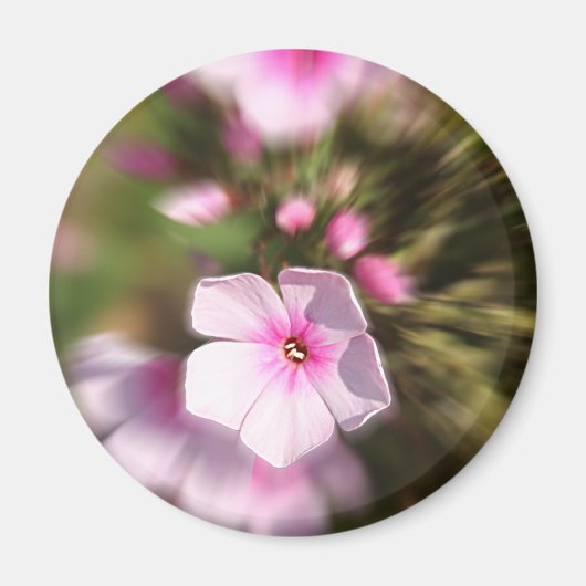 Periwinkle Zoom Magneet (Voorkant)