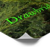 Perkins Cove Drawbridge - Ogunstoppen maine Poster (Hoek)