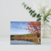 Perkins Pond Autumn Scene Briefkaart (Staand voorkant)