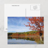 Perkins Pond Autumn Scene Briefkaart (Voorkant / Achterkant)