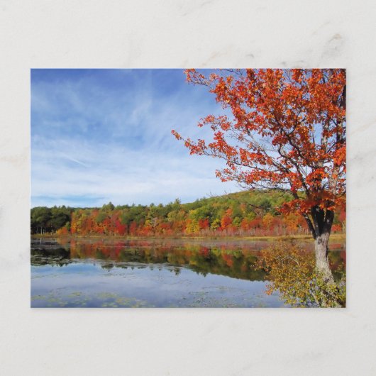 Perkins Pond Autumn Scene Briefkaart (Voorkant)
