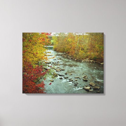 Perkiomen Creek in Autumn Green Lane Pennsylvania Canvas Afdruk (Voorkant)