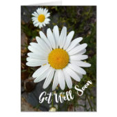 Perky White Daisy Flower Get Well Soon Kaart (Voorkant)