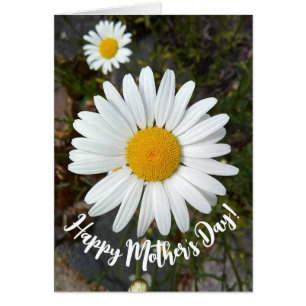 Perky White Daisy Flower Moederdag Kaart