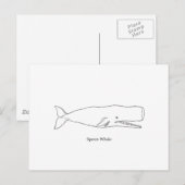 Perm Whale Illustratie (lijnkunst) Briefkaart (Voorkant / Achterkant)