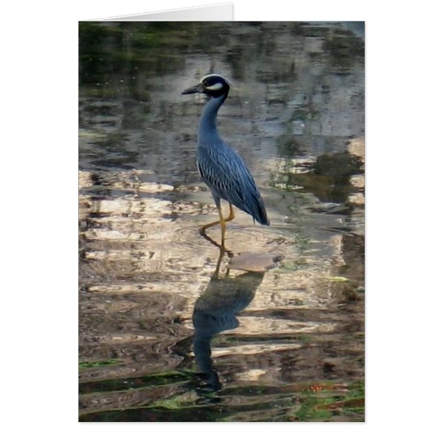 Permanent (Voorkant)