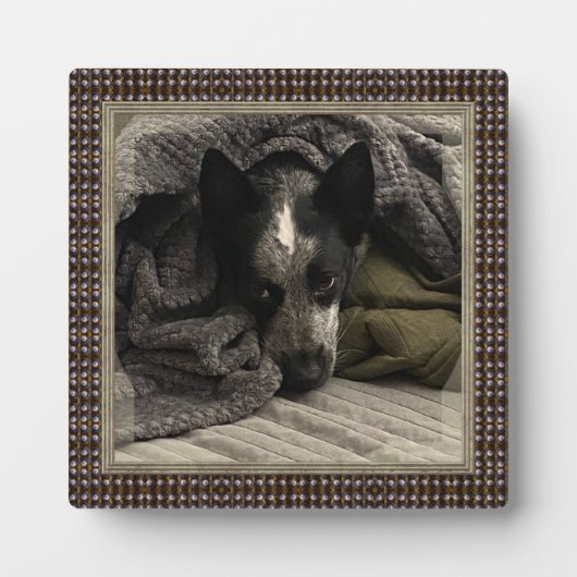 Permanent Afbeelding met Faux Metal Lijst HAMbWG Fotoplaat (Voorkant)