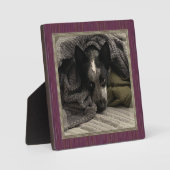 Permanent Afbeelding met Faux Wood Lijst HAMbWG Fotoplaat (Voorkant)