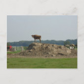 Permanent Briefkaart (Voorkant)