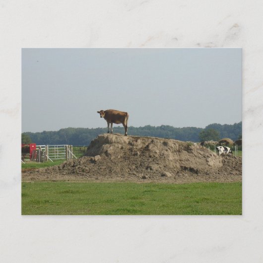 Permanent  Briefkaart (Voorkant)