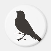 Permanent Canarische vogelpest Magneet (Voorkant)