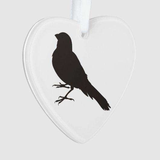 Permanent Canarische vogelpest Ornament (voorkant)